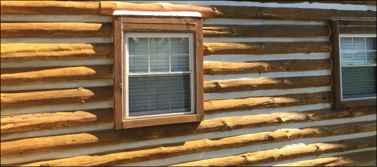 Log Home Whole Log Replacement  Reynolds, Georgia